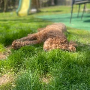 Meet your Posher, Jill